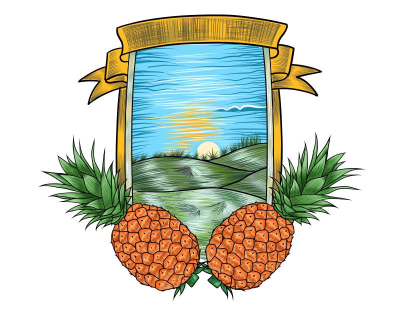 Sketch illustration of pineapple tropical fruit art for summer hand drawn vector vintage pineapple