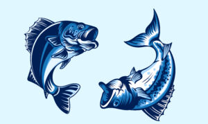 Fish vector art illustration - by Nazzasi Chowdhury